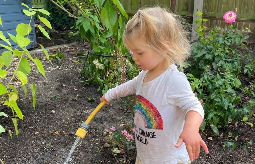 Top 10 Plants for First-Time Growers