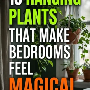 10 Hanging Plants That Make Bedrooms Feel Magical