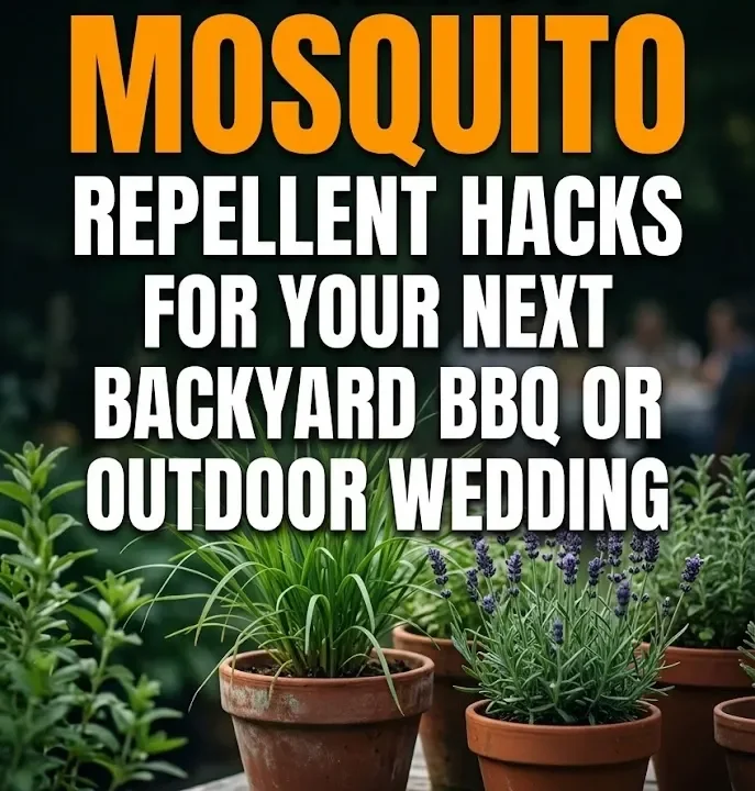 13 Genius Mosquito Repellent Hacks for Your Next Backyard BBQ or Outdoor Wedding 13 Genius Mosquito Repellent Hacks for Your Next Backyard BBQ or Outdoor Wedding