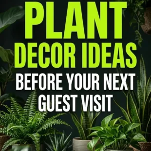 5 Must-Try Plant Decor Ideas Before Your Next Guest Visit