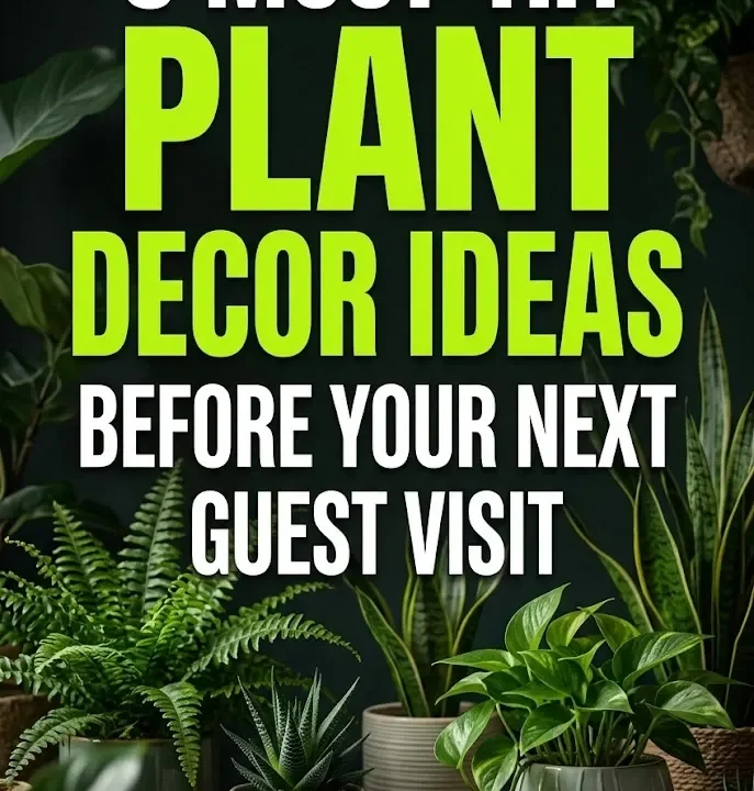5 Must-Try Plant Decor Ideas Before Your Next Guest Visit 5 Must-Try Plant Decor Ideas Before Your Next Guest Visit