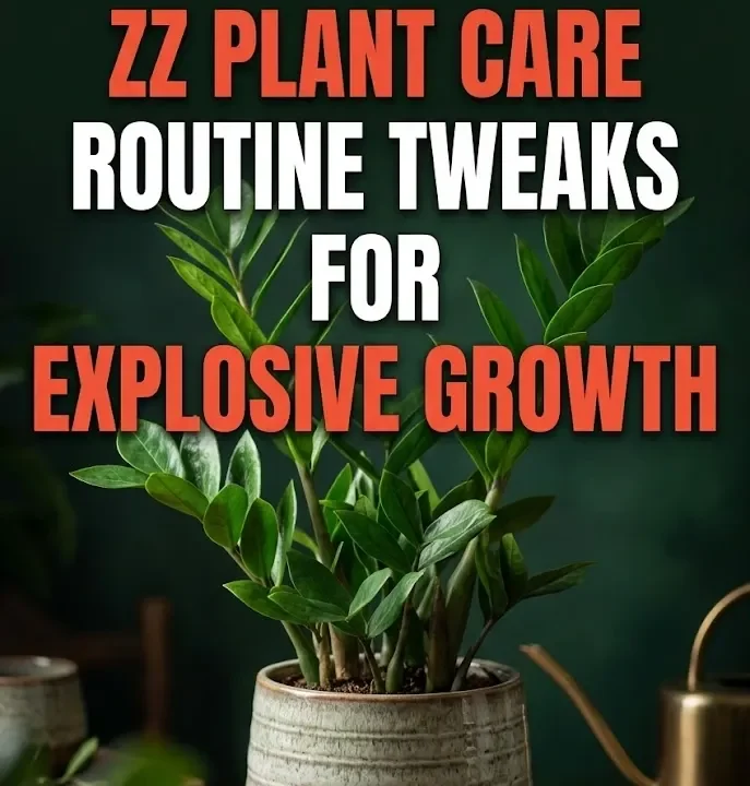 5 Simple ZZ Plant Care Routine Tweaks For Explosive Growth
