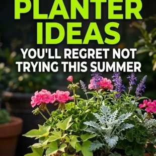6 Full Sun Planter Ideas You’ll Regret Not Trying This Summer