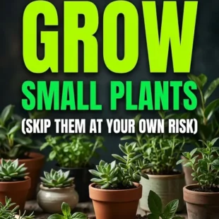 7 Critical Steps to Grow Small Plants (Skip Them at Your Own Risk)