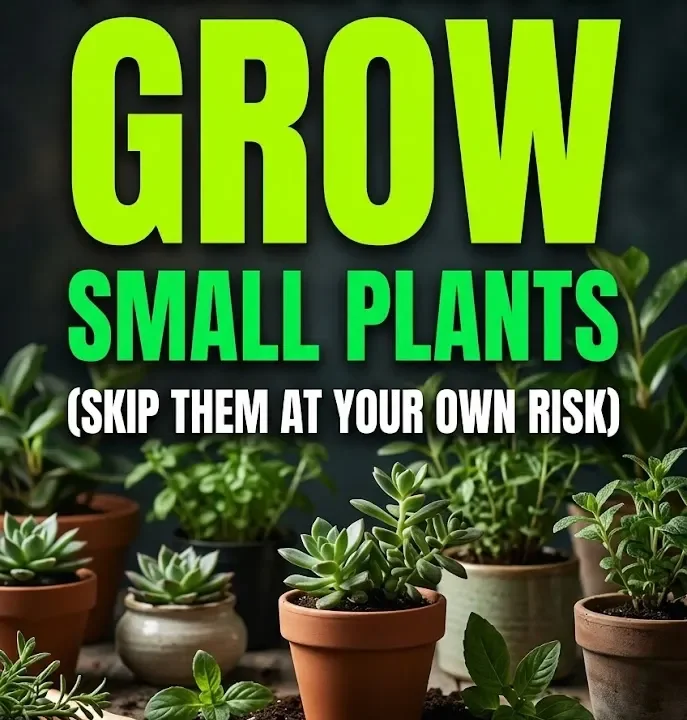 7 Critical Steps to Grow Small Plants (Skip Them at Your Own Risk) 7 Critical Steps to Grow Small Plants (Skip Them at Your Own Risk)