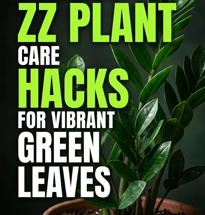 7 Genius ZZ Plant Care Hacks For Vibrant Green Leaves