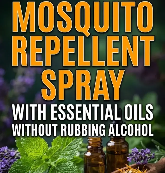 DIY Mosquito Repellent Spray with Essential Oils and Without Rubbing Alcohol DIY Mosquito Repellent Spray with Essential Oils and Without Rubbing Alcohol