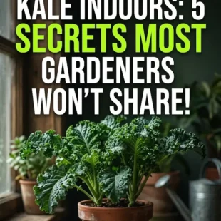 How to Grow Kale Indoors: 5 Secrets Most Gardeners Won’t Share!