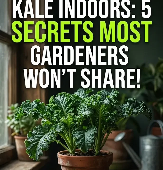 How to Grow Kale Indoors: 5 Secrets Most Gardeners Won’t Share!