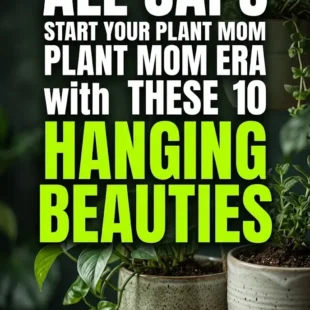 Start Your Plant Mom Era with These 10 Hanging Beauties