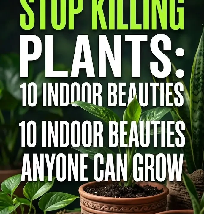 Stop Killing Plants 10 Indoor Beauties Anyone Can Grow Stop Killing Plants: 10 Indoor Beauties Anyone Can Grow