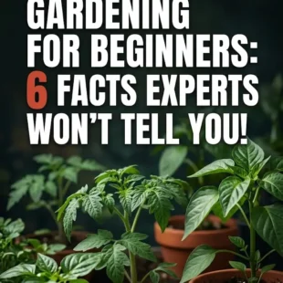 Vegetable Gardening for Beginners: 6 Facts Experts Won’t Tell You!