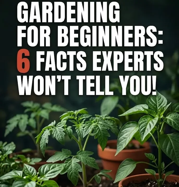 Vegetable Gardening for Beginners: 6 Facts Experts Won’t Tell You!