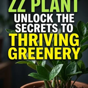 ZZ Plant Care: Unlock the Secrets to Thriving Greenery